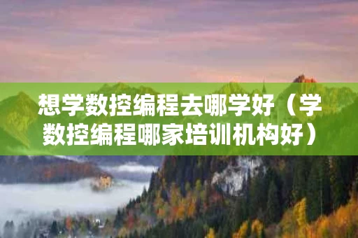 想学数控编程去哪学好（学数控编程哪家培训机构好）