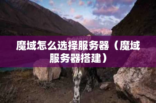 魔域怎么选择服务器（魔域服务器搭建）