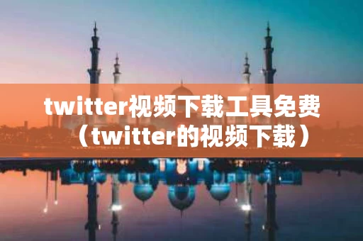 twitter视频下载工具免费（twitter的视频下载）