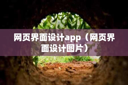 网页界面设计app（网页界面设计图片）