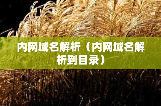 内网域名解析（内网域名解析到目录）