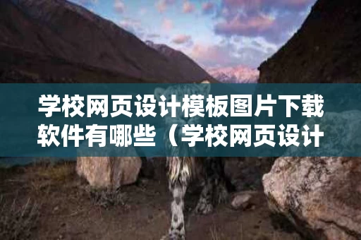 学校网页设计模板图片下载软件有哪些（学校网页设计作品集）