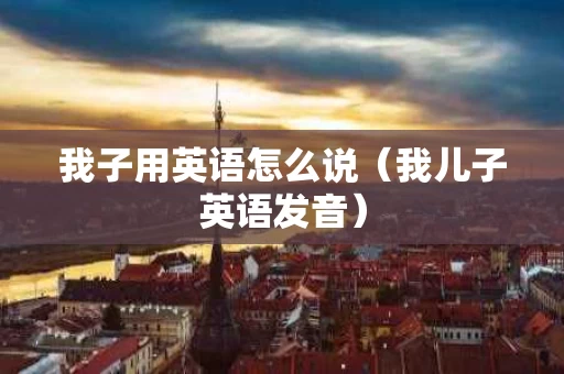 我子用英语怎么说（我儿子英语发音）