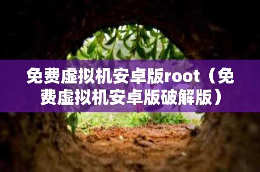 免费虚拟机安卓版root（免费虚拟机安卓版破解版）