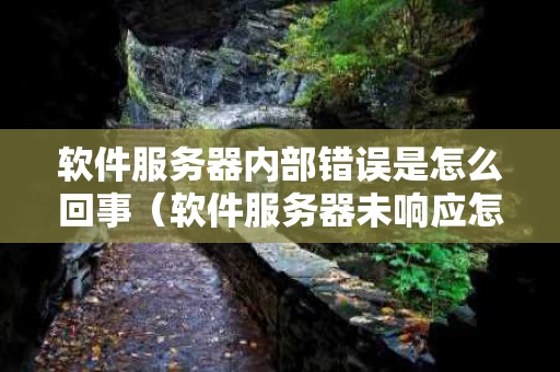 软件服务器内部错误是怎么回事（软件服务器未响应怎么解决）