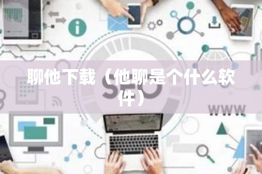 聊他下载（他聊是个什么软件）