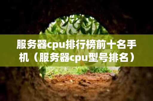 服务器cpu排行榜前十名手机（服务器cpu型号排名）