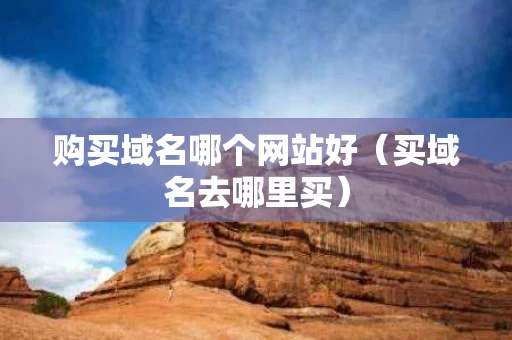 购买域名哪个网站好（买域名去哪里买）