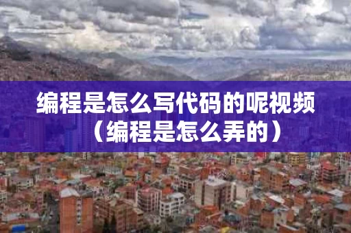 编程是怎么写代码的呢视频（编程是怎么弄的）