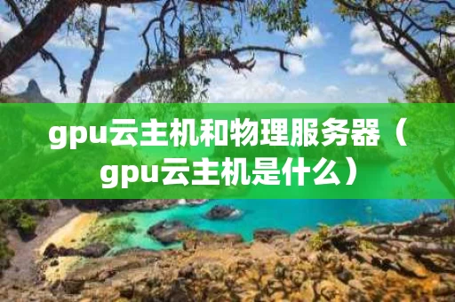 gpu云主机和物理服务器（gpu云主机是什么）