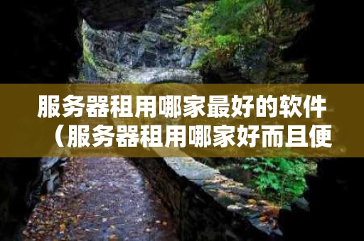 服务器租用哪家最好的软件（服务器租用哪家好而且便宜）