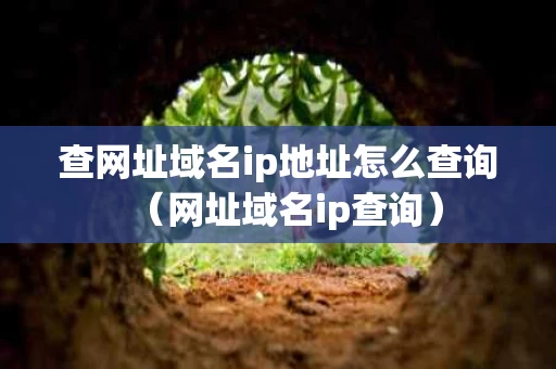 查网址域名ip地址怎么查询（网址域名ip查询）