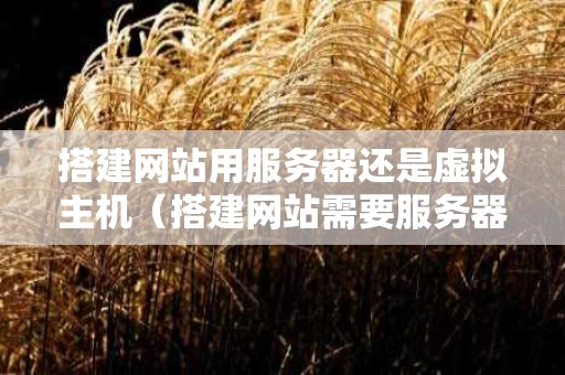 搭建网站用服务器还是虚拟主机（搭建网站需要服务器吗）