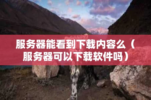 服务器能看到下载内容么（服务器可以下载软件吗）