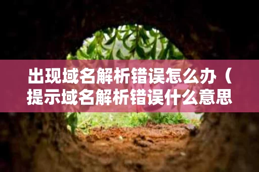 出现域名解析错误怎么办（提示域名解析错误什么意思）