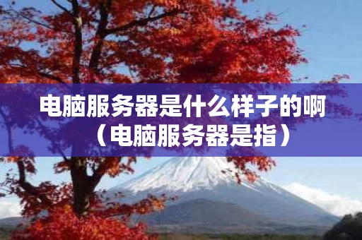 电脑服务器是什么样子的啊（电脑服务器是指）