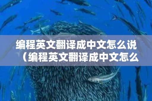 编程英文翻译成中文怎么说（编程英文翻译成中文怎么说的）