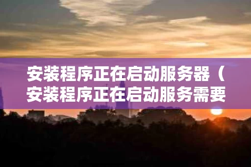 安装程序正在启动服务器（安装程序正在启动服务需要多长时间）