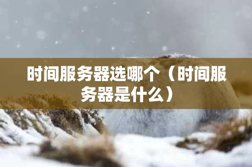 时间服务器选哪个（时间服务器是什么）