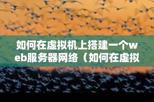 如何在虚拟机上搭建一个web服务器网络（如何在虚拟机中建设网站）