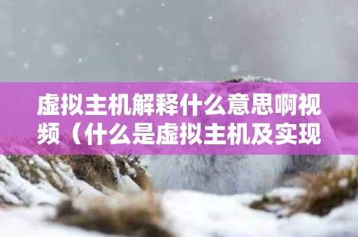 虚拟主机解释什么意思啊视频（什么是虚拟主机及实现原理）