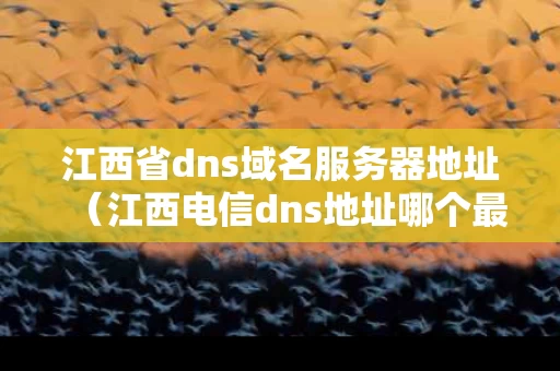 江西省dns域名服务器地址（江西电信dns地址哪个最快）