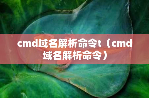 cmd域名解析命令t（cmd域名解析命令）