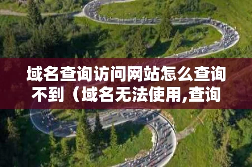 域名查询访问网站怎么查询不到（域名无法使用,查询失败）