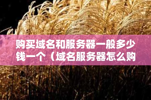 购买域名和服务器一般多少钱一个（域名服务器怎么购买）