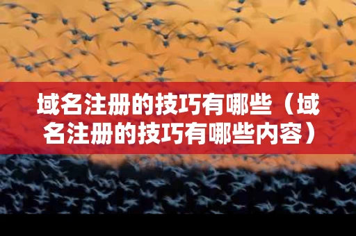域名注册的技巧有哪些（域名注册的技巧有哪些内容）