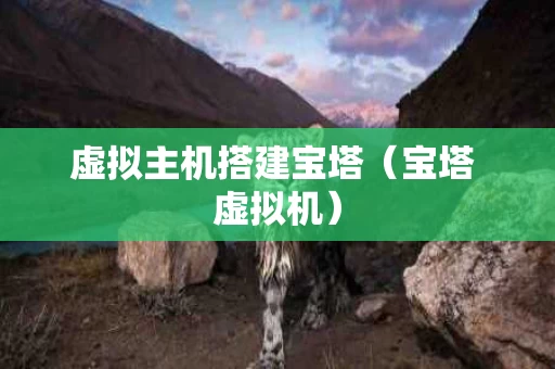 虚拟主机搭建宝塔（宝塔 虚拟机）