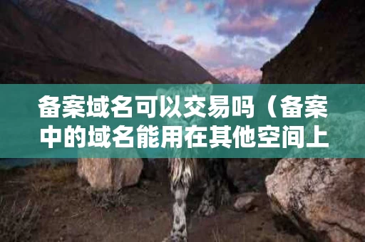 备案域名可以交易吗（备案中的域名能用在其他空间上面吗）