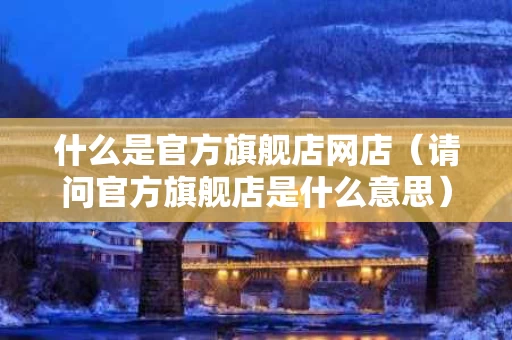什么是官方旗舰店网店（请问官方旗舰店是什么意思）