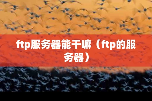 ftp服务器能干嘛（ftp的服务器）