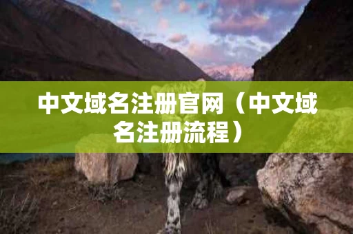 中文域名注册官网（中文域名注册流程）