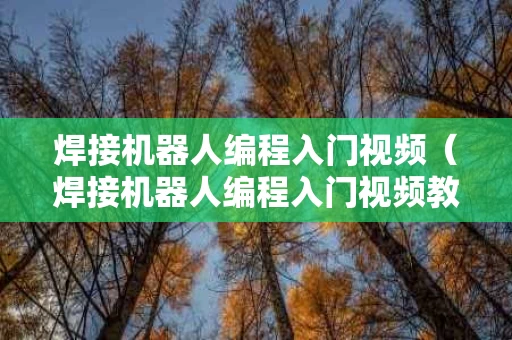 焊接机器人编程入门视频（焊接机器人编程入门视频教程）