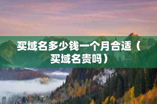 买域名多少钱一个月合适（买域名贵吗）