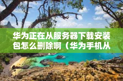 华为正在从服务器下载安装包怎么删除啊（华为手机从服务器下载安装包）