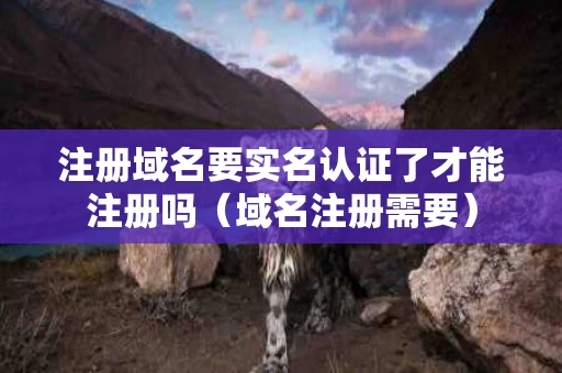 注册域名要实名认证了才能注册吗（域名注册需要）