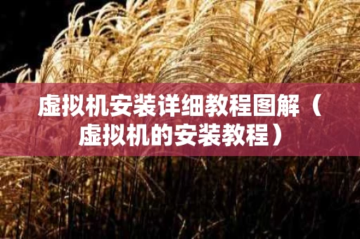 虚拟机安装详细教程图解（虚拟机的安装教程）