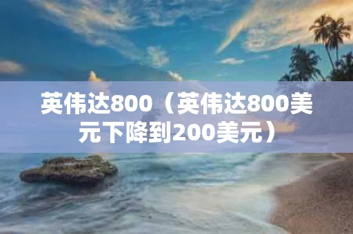 英伟达800（英伟达800美元下降到200美元）