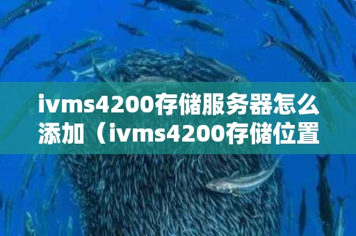 ivms4200存储服务器怎么添加（ivms4200存储位置设置）