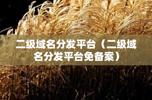 二级域名分发平台（二级域名分发平台免备案）