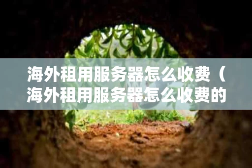 海外租用服务器怎么收费（海外租用服务器怎么收费的）
