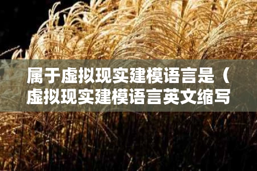 属于虚拟现实建模语言是（虚拟现实建模语言英文缩写）