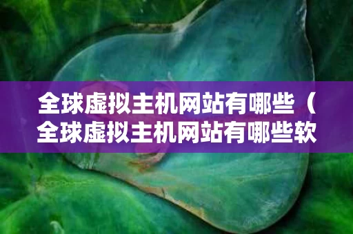 全球虚拟主机网站有哪些（全球虚拟主机网站有哪些软件）