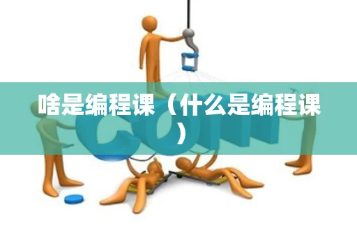 啥是编程课（什么是编程课）