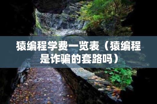 猿编程学费一览表（猿编程是诈骗的套路吗）