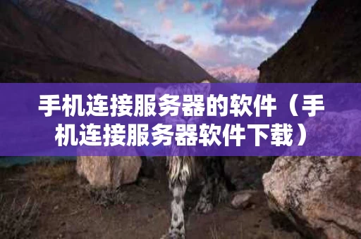 手机连接服务器的软件（手机连接服务器软件下载）