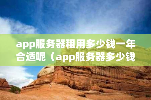 app服务器租用多少钱一年合适呢（app服务器多少钱一台）